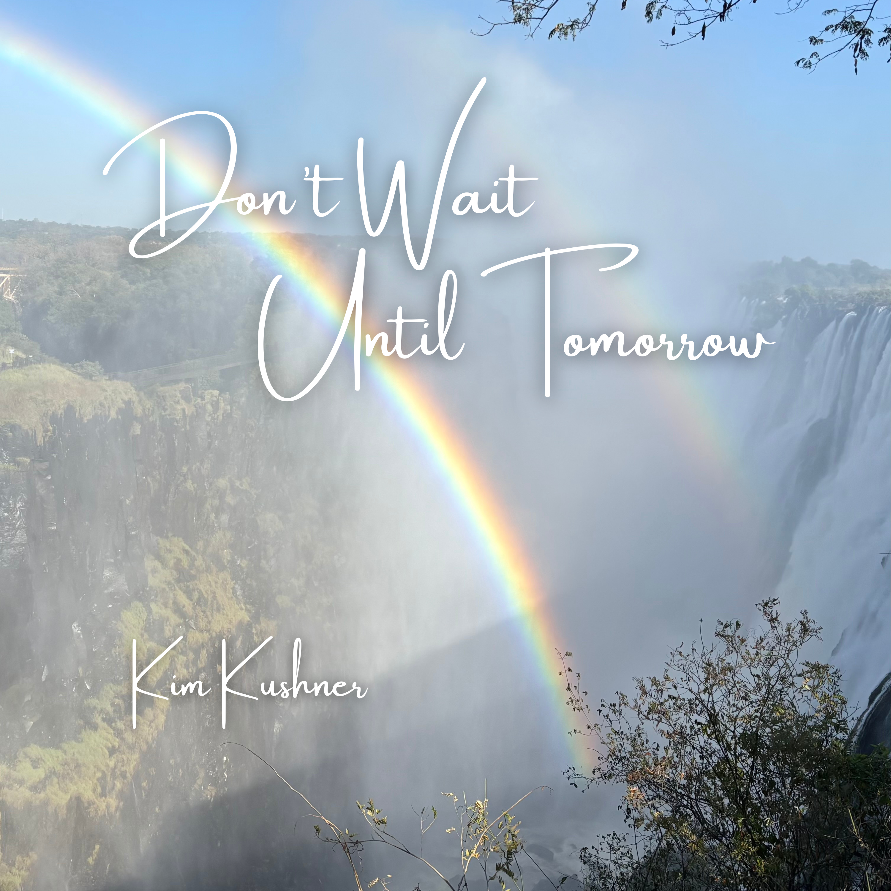 Don't Wait Until Tomorrow — Kim Kushner